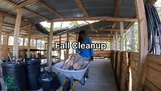 Full Fall Yard Clean-Up | Weeds, Firewood & Junk Removal (Timelapse)
