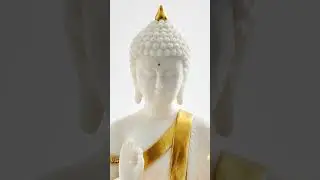 Lord Buddha Statue For Sale At 70% Off | VIVARS HOME checkout description For More Info: