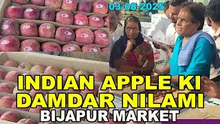 HOW MUCH WILL BE BILATED IN THE INDIAN APPLE MARKET DAMDAAR AUCTION-?03-08-2025 BIJAPUR MARKET