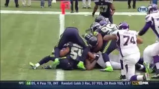 Adrian Peterson Mix