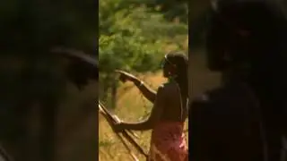 Les Maasa&iuml; et les Lions