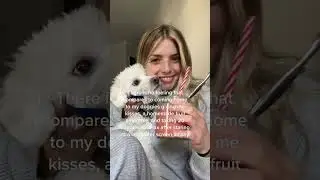 Furry Friends & Smoothie Joy #routine #wellness #Lifestyle #health