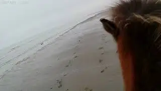 Strandritten