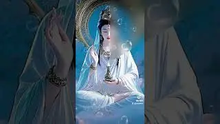 Mind fullness #buddha #buddhism #buddhist #meditation #tinhtam