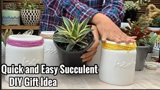 Succulent Gift Idea( Quick and Easy to make ) Perfect for Mother&rsquo;s Day