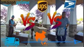 Amazon Prime VS UPS VS USPS | Battle Of Asian Delivery Drivers!
