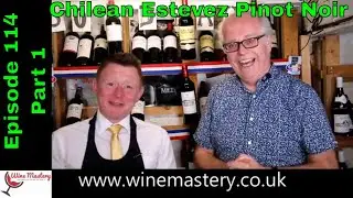 Chilean Estevez Pinot Noir from Aldi (Episode 114 Part 1)