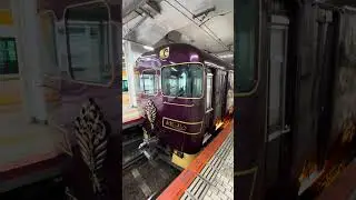 ✨🚄 &ldquo;Magical Train Journey to Nara Park &ndash; Where Deer Roam Free&rdquo; 🦌🌿