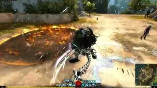 Guild Wars 2  BAG infusion Dragonvoid