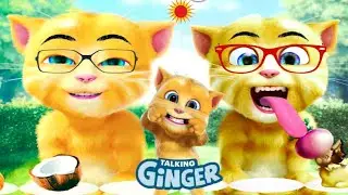 My talking ginger cat video 🥸👻😂🤣🦁🤩🐱🥰😻🐈😅Talking Game video 😎 🎂 🍟 🦁