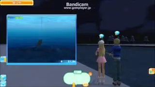 MeetMe　シロザメ