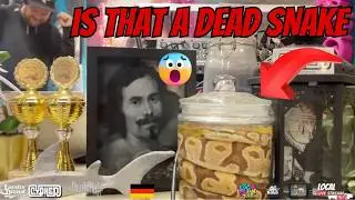 German Producer 'Prielmann' Beat Set | Denkmal Tattoo, Augsburg | Local Live Stream Tour Highlights