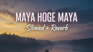 Maya Hoge Maya | Slowed & Reverb | Chhattisgarhi Lofi Song 2026