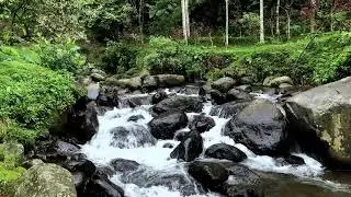Calm Water River Sounds - Nature ASMR Meditation Music 3H