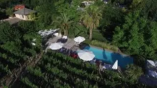 Summer from above | Pool & vineyards at Finca Adalgisa