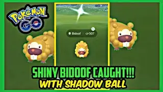 SHINY BIDOOF WITH SHADOW BALL CAUGHT FROM BIDOOF BREAKOUT OF POK&Eacute;MON GO #Shorts