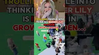 Фраза &laquo;EMBER LILY&raquo; доступна в игре GROW A GARDEN на ROBLOX!
