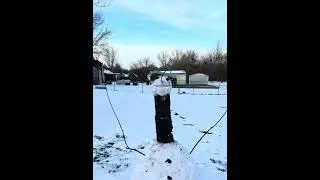 Строительство сарая для черепах сульката завершено.