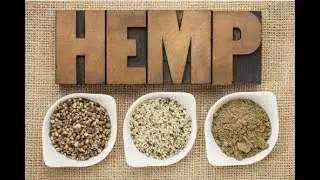 Hemp Seeds Shelling Machine