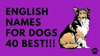 English Names For Dogs - 40 GREAT Ideas!!! | Names