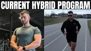 My Current Hybrid&nbsp;Training&nbsp;Program&nbsp;Split&nbsp;for Strength and Size