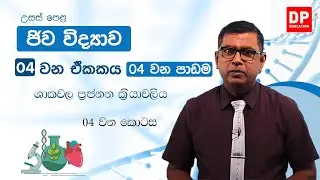 04 වන ඒකකය 04 වන පාඩම - ශාකවල ප්‍රජනන ක්‍රියාවලිය - 04 වන කොටස | උසස් පෙළ ජිව විද්‍යාව