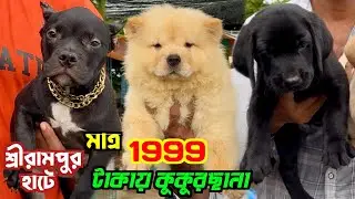 Kolkata Pet Market. Dog Market in Kolkata Price. Kolkata Dog Market.