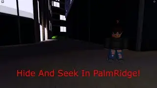 Hide And Seek In Palm Ridge!
