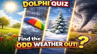 Find the Different Weather 🌦️ | Dolphi Quiz