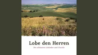 O dass ich tausend Zungen hätte