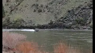 167 upriver of timezone bridge