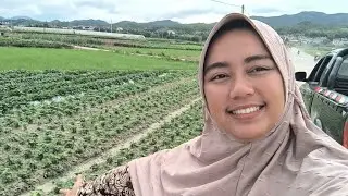 Ambil Sayur Labu Air Raksasa Gratissss Di Desa Huichang 🇨🇳 🤑