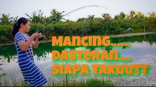 Casting Gabus || Spot Sawah Mempiuk || Lady Angler