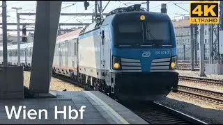 Wien Hbf 5.7.2025: Railjets, S-Bahnen, Eurocitys, Intercitys, CityjetExpress-Züge und REX-Züge