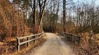 Peaceful POV Walk in a Spring Forest [with CAPTIONS]
