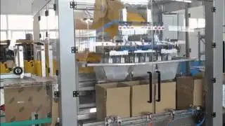 Pick & Place Case Packer for Edible Oil Jerry Cans | Clearpack Group