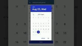 How to add income & expenses record in app