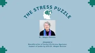 Stress Puzzle Episode 8 - Recalibration of Early Life Stress Systems with Dr. Megan Gunnar