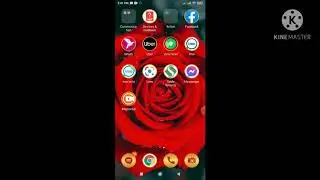Real Research Survey apps Account