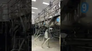 Shampoo conditioner mixing homogenizing processing tank machine big batch production workshop group