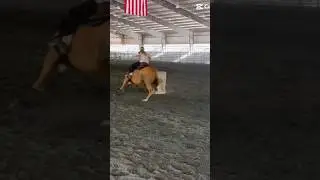 Running todayyy!! Also that was close😂 #horse #barrelhorse #rodeo #barrelracing #equestrian