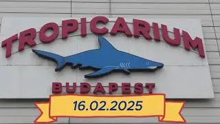 Tropicarium Budapest &ndash; Entdecken Sie die exotische Welt im Herzen der Stadt!