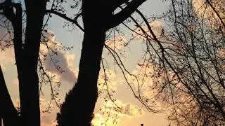Conscious Relaxation