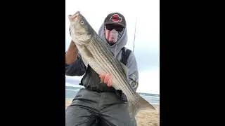 Surf Fishing California | catching striped bass, surfperch and smelt (May 2020)