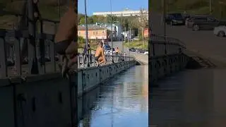 Калуга за 25 секунд