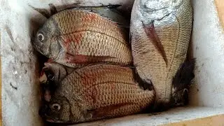 mancing prahu apong grajakan