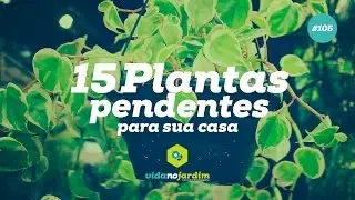 15 plantas pendentes para sua casa