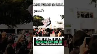 #onepiece #anime #freedom