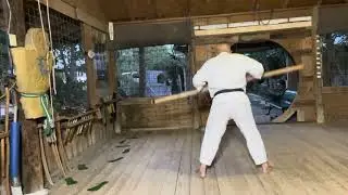 Video # 259 Chi Ho Nuke. Sensei Nick flores demonstrates.
