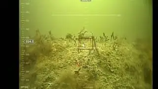 #BALTOPS2019 BOOM - A World War II-era mine detonates in the Baltic Sea